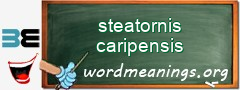 WordMeaning blackboard for steatornis caripensis
